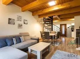 Apartmány pod Zakletým - Hotel Říčky