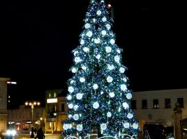 Paris Rooms -Rynek Centrum -F VAT，位于凯尔采的酒店