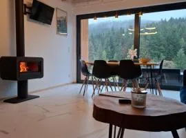 Gwiazda Mogielicy basen & balia, sauna