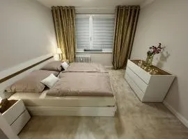 EXPO Apartment - FREE PARKING