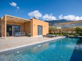 Villa Ioanna Mentoros，位于凯法利尼亚岛的酒店