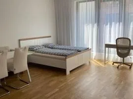 Quiet apartment near Prague centre