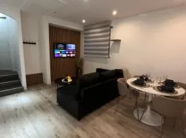 Magnifique logement proche de Colmar Parking Wifi