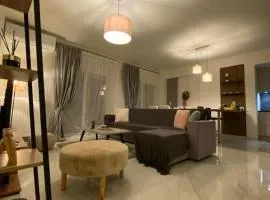 The contemporary luxury home - Trikala
