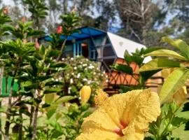 Glamping Mafer 1 Hexagonal