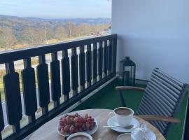 Two Apartaments Almberg - Mitterdorf-Mitterfirmiansreut, hotel v destinaci Mitterfirmiansreut