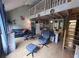 Chalet familial avec parking, à 50m des télécabines - FR-1-812-26