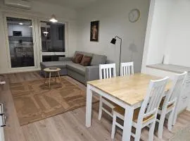 Viola apartments city center ilmastoinnilla