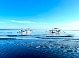 Dolphin Tour Private Villa Packet At Seririt