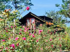 Romantic house 2 on a pine hill Dalat