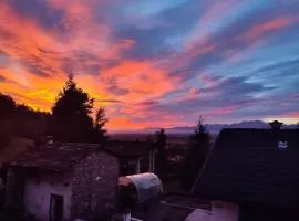 Il Boschetto della Valle Maira