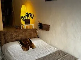 Sunny Casita in Jesus