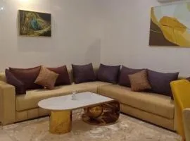 Appartement centre Ville