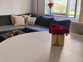 New Belgrade Apartment
