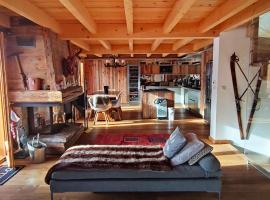 Chalet Haut de Gamme, 5 Chambres, Terrasse, Cheminée - FR-1-292-219, отель в Изоле