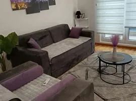 City011 studio PRIVATE GARAGE FREE