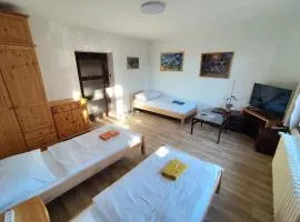Pension 21
