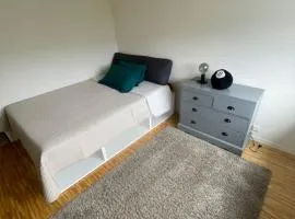 Professional working room