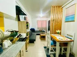 Plumera Condo Near Airport Malls & Schools with Elevator
