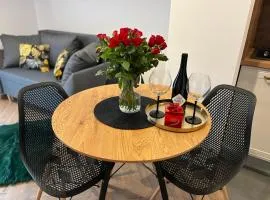 Ami Luxury Residence VI CENTRUM - możliwość REJSU ŁODZIĄ