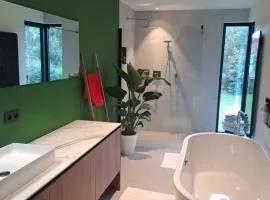 Modern spatious house near Bruges