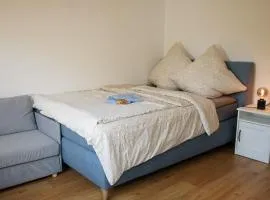 Central Appartment with mountain view