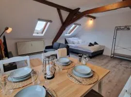 Haus Saarburg Innenstadt Bleser Appartements