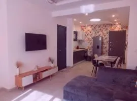 Studio F1 meublé et luxueux