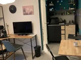 Gemütliches 1 Zimmer Apartment
