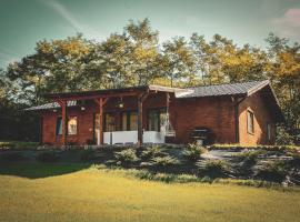 Micesti Chalet, hotel in Miceşti