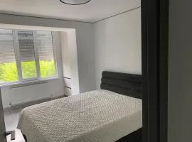 Chirie apartament