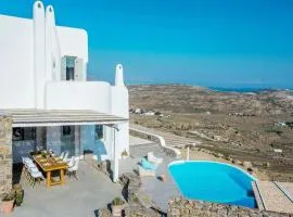 Elegant villa with view