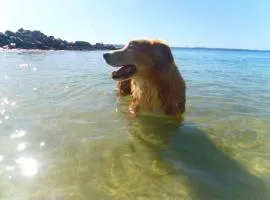 4 Gilchrist Rd - pet friendly, air con, Wi-Fi