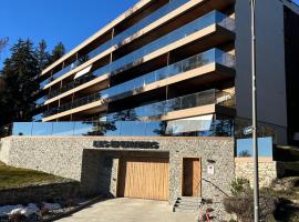 Renovated Mountain View Apartment - Les Eperviers, villa in Crans-Montana