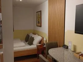 1 Zimmer Appartement nahe Gmunden Top2