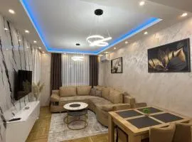 Apartman Stoiljkovic Vrnjacka Banja