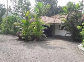 Colonel's Retreat, Mavady, Vagamon