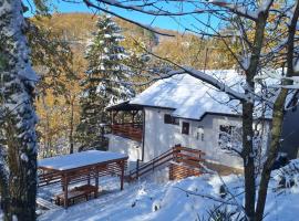Šumska Kosmaj, pet-friendly hotel in Nemenikuće