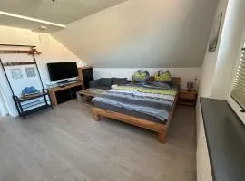 1 Zi Apartment im Stadtzentrum