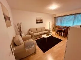 3-Room Apartment for Business Travelers or Familie, Free WiFi & TV with 100 Countries, DAZN, Sky, Netflix & Disney