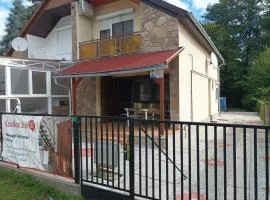 A whole holiday house with a garden in Fonyod for 2-10 persons