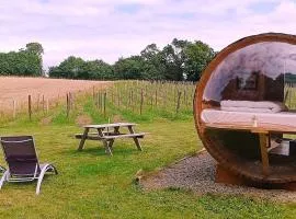 Tonneau bulle insolite, vue sur vignoble