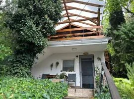 Tiny Forest Apartment