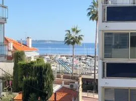 L'Hippocampe du Palm Beach