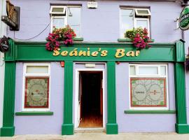Seanie's guest house, homestay in Tullaroan