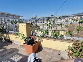 La Cabina del Capitano