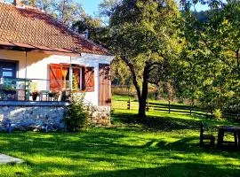 Kuća u planini T Polje Subjel