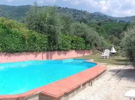 Amazing Apartment In Reggello With Wifi