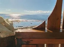 Fare Mama Fenua plage baleines Moorea Temae