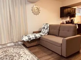 Beautiful, specious two bedroom basement suite